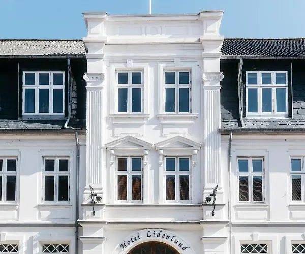 ホテル Lidenlund 3*